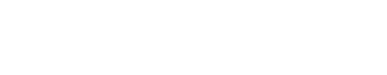 Mega Digital Products